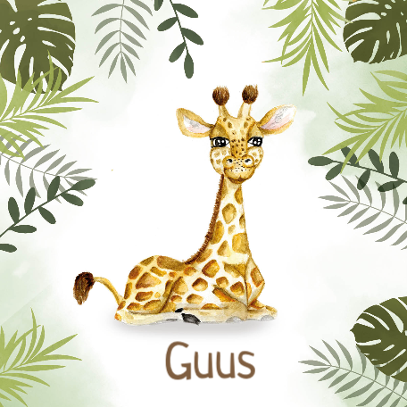 Aqua giraf