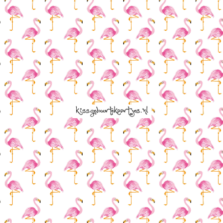 Flamingo patroon