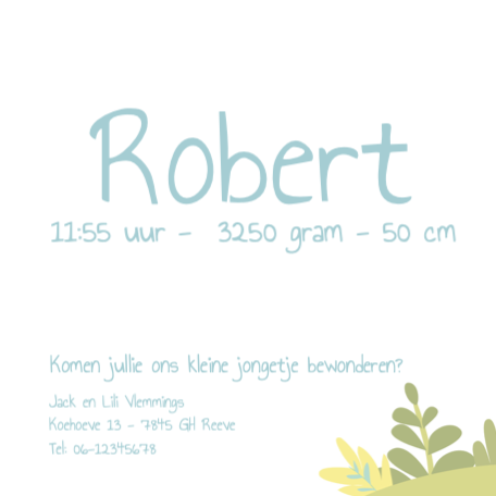 Ooievaar